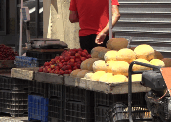 Ligji “Për Kontrollet Zyrtare” në konsultim publik, synohet reformimi i plotë i sigurisë ushqimore