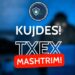 Autoriteti Kombëtar për Sigurinë Kibernetike paralajmëron qytetarët: Platforma TXEX është mashtrim online!