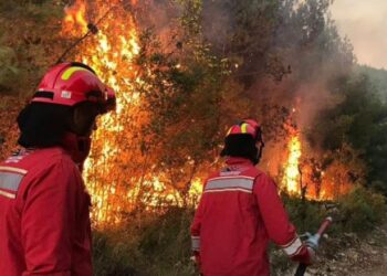 Zjarret përfshijnë vendin, 30 vatra aktive në territor