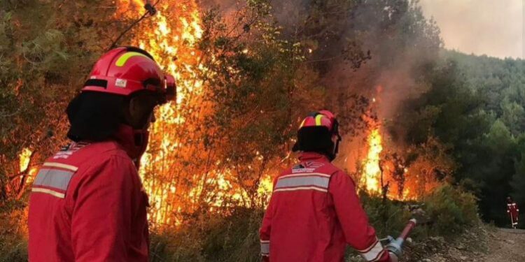 Zjarret përfshijnë vendin, 30 vatra aktive në territor