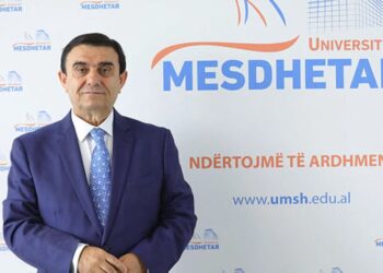 Siguria ekonomike në epokën e sotme