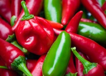 Sërish perime me pesticide nga Shqipëria, bllokohet në Kroaci një ngarkesë me speca