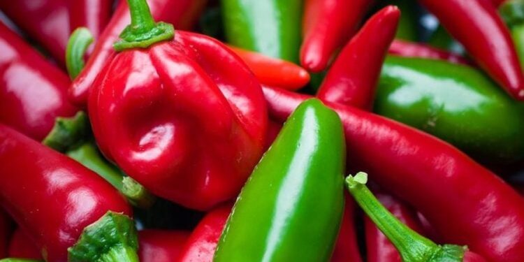 Sërish perime me pesticide nga Shqipëria, bllokohet në Kroaci një ngarkesë me speca