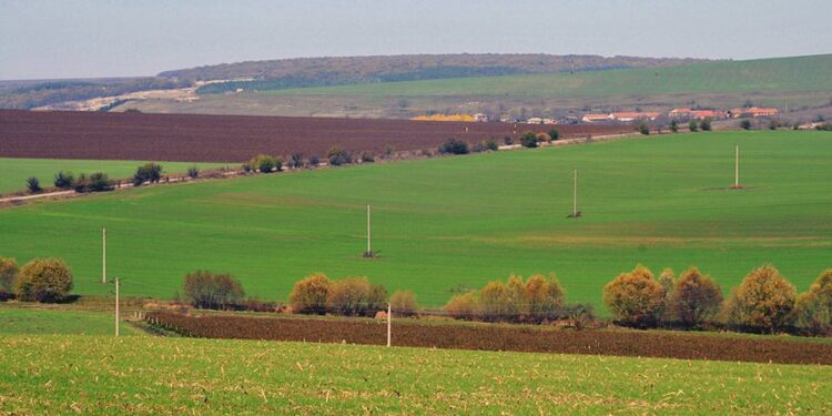 Tokat pa tapi, në shitje me 1 euro! – Hapet drita jeshile për “Paketën e Maleve”. Kush përfiton?