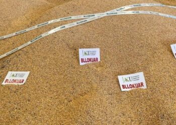 Vinte nga Serbia, AKU bllokon kamionin me 25 ton misër