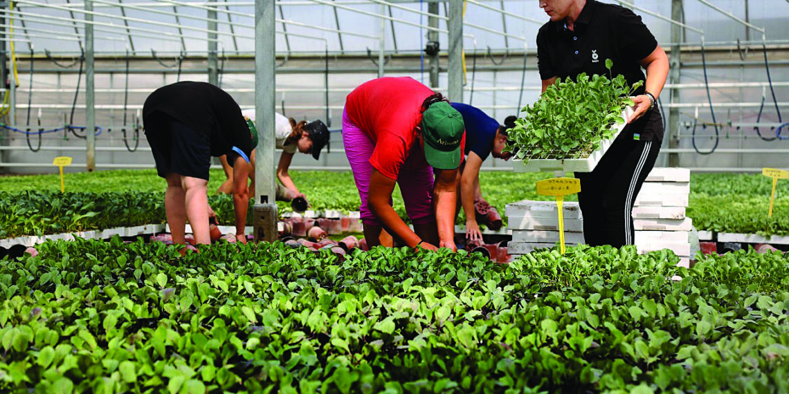 Komisioni Evropian vë vulën: Shqipëria nuk është ende gati për zhbllokimin e IPARD 3