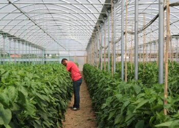 112 milionë euro të BE të bllokuara, ministri i Financave tregon se kur jepen fondet për bujqësinë