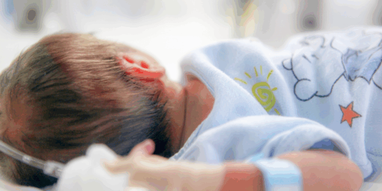 9-mujori 2025, tkurrja e lindjeve përhapet në gjithë vendin, rënie vjetore 4.6 %