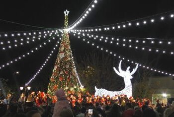 Pemë, drita apo fishekzjarrë? Festat po afrojnë, “lumë” tenderësh për zbukurime nga Bashkitë