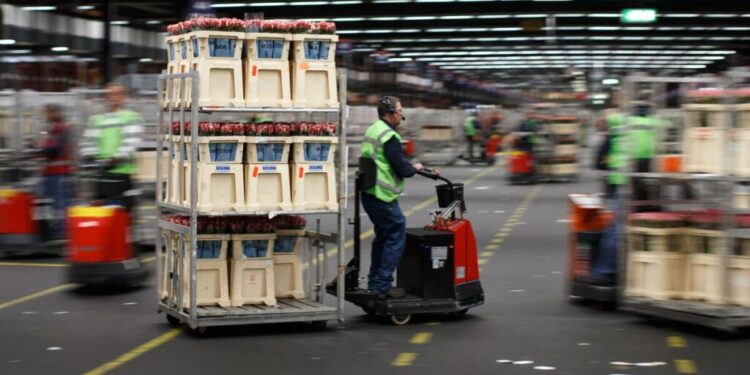 Kompanitë europiane lënë pas një vit të pasigurt teksa besimi rritet për 2026