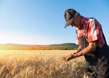 Fermerët duhet të nisin grumbullimin e faturave për kompensimin 10%; Kërkesa do bëhet dy herë në vit