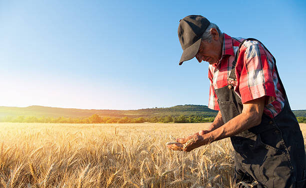 Fermerët duhet të nisin grumbullimin e faturave për kompensimin 10%; Kërkesa do bëhet dy herë në vit