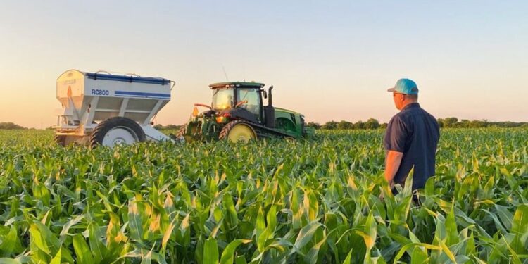 Rasti i IPARD në bujqësi/ Kodi Penal: Burg deri në 5 vjet kush abuzon me fondet e BE-së