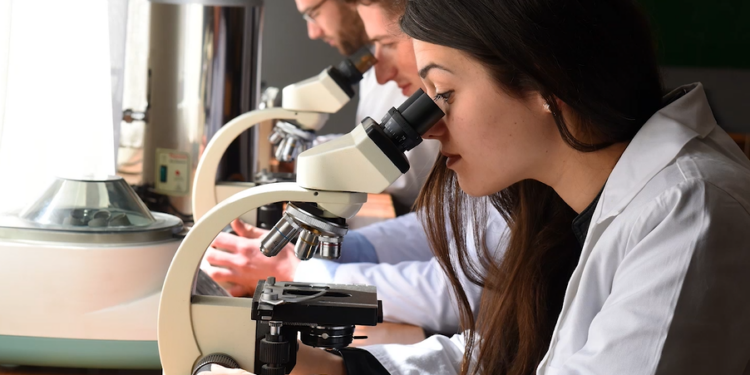 Pak para për kërkimin shkencor, INSTAT: Më 2024 u dha vetëm 0.3% e PBB-së