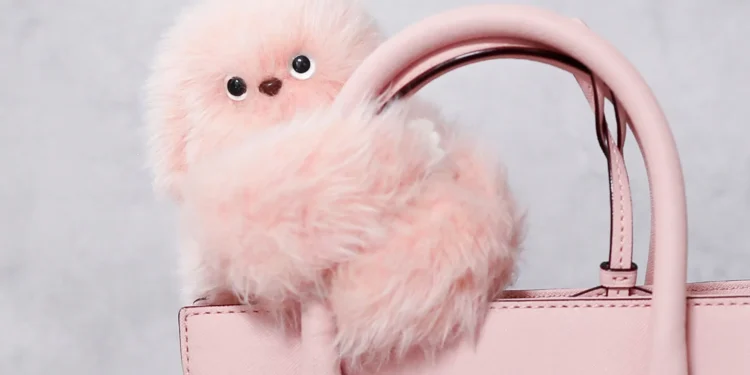 Mirupafshim Labubu, trendi i radhës quhet Mirumi dhe lëviz kokën!