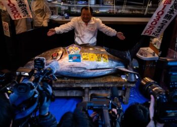 3.2 milionë $ për një peshk