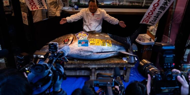 3.2 milionë $ për një peshk