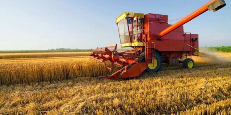 Kush përfiton nga kompensimi i TVSH-së në bujqësi? – Udhëzimi/ Fermerët duhet të ruajnë faturat e shiteve, aplikimi në tatime