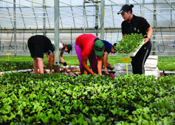 Ministri i Bujqësisë jep lajmin: IPARD zhbllokohet këtë vit, ja kur do të nisin aplikimet nga fermerët