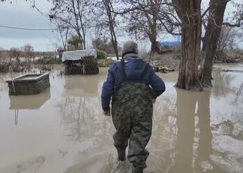 Banka Botërore skeptike për sigurimin e detyrueshëm nga tërmetet e përmbytjet, ja rezervat…
