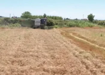 Rriten kostot në bujqësi, plehrat kimike dhe nafta shtrenjtojnë prodhimin bujqësor