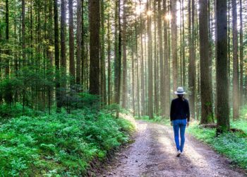 Çelësi për të pasur një mendje të mprehtë