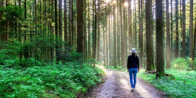 Çelësi për të pasur një mendje të mprehtë