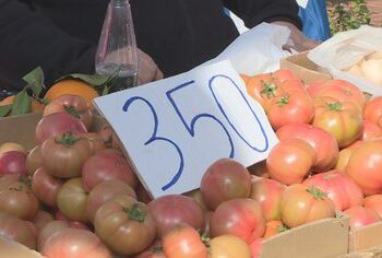 Nafta “i vë flakën” çmimeve, domatja dhe specat mbi 350 lekë, qytetarët pakësojnë blerjet