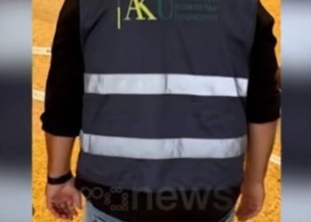 Po fëmijët tanë kush i mbron, AKU apo SPAK?