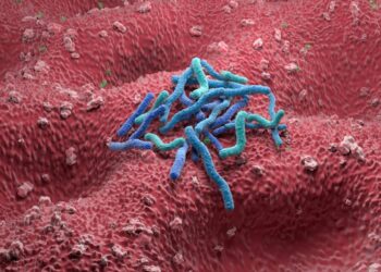 Studimi i ri: Shpresë në parandalimin e kancerit të stomakut