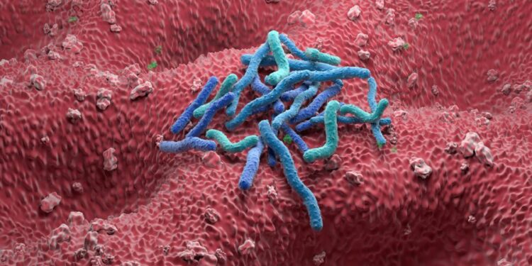 Studimi i ri: Shpresë në parandalimin e kancerit të stomakut