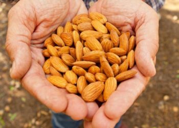 Vlerat ushqyese të qumështit të bajameve