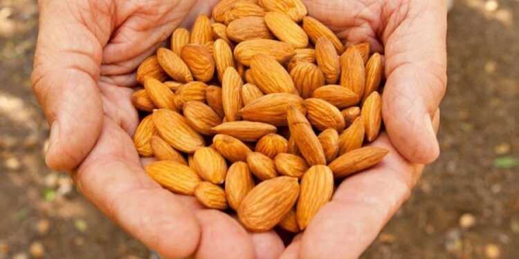 Vlerat ushqyese të qumështit të bajameve