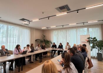 Transforimi digjital i ekonomisë, diaspora ndihmë bizneseve shqiptare për në BE
