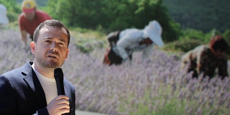 “Dyfisho ndërmarrjen tënde”, ministri i Bujqësisë: Programi nxit aktivitetin e bimëve mjekësore