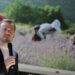 “Dyfisho ndërmarrjen tënde”, ministri i Bujqësisë: Programi nxit aktivitetin e bimëve mjekësore
