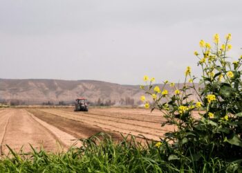 Si do bëhet shitja e tokave bujqësore në pronësi? Kriteret për 445 mijë familje në të gjithë vendin
