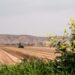 Si do bëhet shitja e tokave bujqësore në pronësi? Kriteret për 445 mijë familje në të gjithë vendin