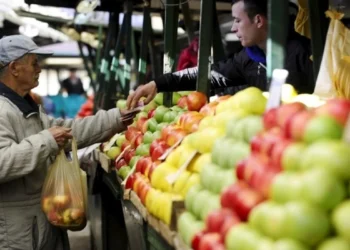 Shqiptarët preferojnë tregtinë, rreth 35% e bizneseve në këtë sektor