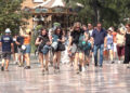 Italianët “pushtojnë” Shqipërinë, renditen si turistët kryesorë