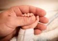 Rreziku demografik, numri i lindjeve në rënie edhe në tremujorin ne dytë të 2026