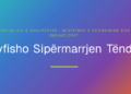 Aplikimet e bizneseve për kredi, vihet në funksion platforma “Dyfisho Sipërmarrjen Tënde”