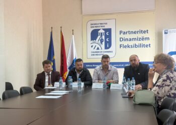 Protestat në Tiranë, bizneset kërkojnë mbrojtjen e pronës publike dhe private