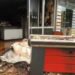 50 biznese të dëmtuara nga protesta, Rama: Kryesisht dyqane dhe sportele