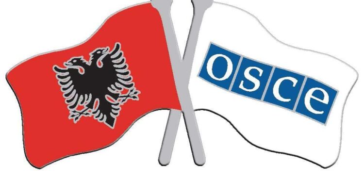 Tensionet nga protestat, OSBE shpreh gatishmërinë për dialog