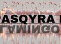 “Pasqyra e Flamingos”, mbi 127 mijë kërkime, Rama:122 sulme kibernetike nga adresa të huaja