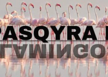 “Pasqyra e Flamingos”, mbi 127 mijë kërkime, Rama:122 sulme kibernetike nga adresa të huaja