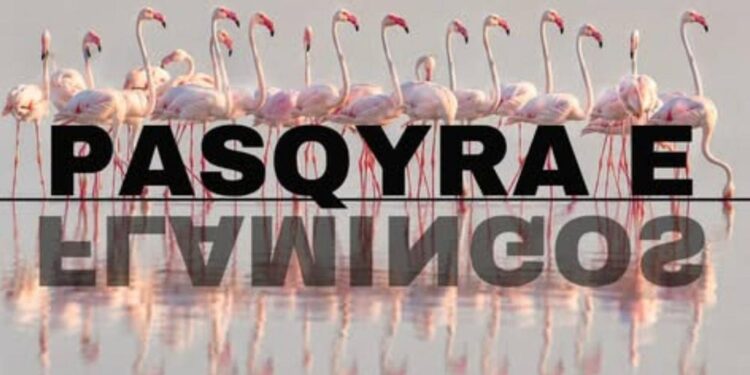 “Pasqyra e Flamingos”, mbi 127 mijë kërkime, Rama:122 sulme kibernetike nga adresa të huaja