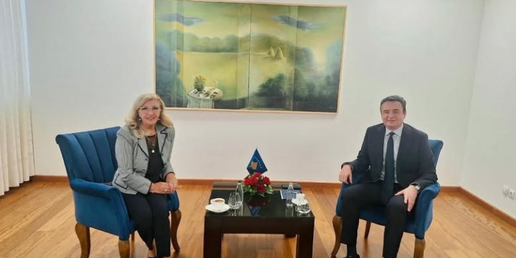 Përfaqësuesja nga Kanadaja në Dhomën e Biznesit të Diasporës, Viola Kaloutsi takon kryeministrin Albin Kurti: Diaspora shqiptare, urë e fortë lidhëse me atdheun